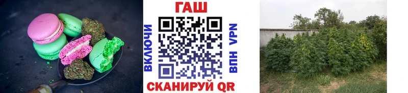 даркнет сайт  Прохладный  darknet как зайти  Еда ТГК марихуана 
