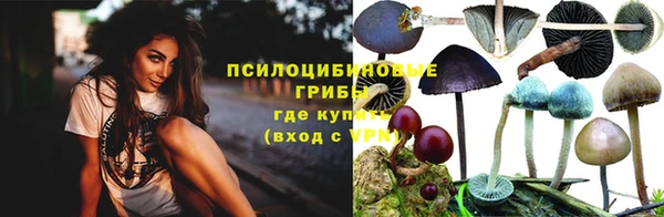 ГАЛЛЮЦИНОГЕННЫЕ ГРИБЫ Абаза