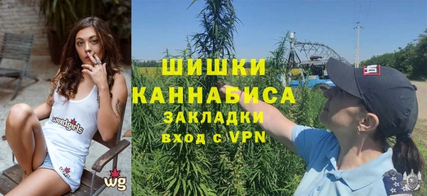 ГАЛЛЮЦИНОГЕННЫЕ ГРИБЫ Абаза
