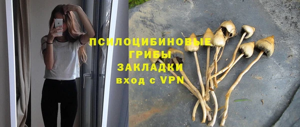 ГАЛЛЮЦИНОГЕННЫЕ ГРИБЫ Абаза